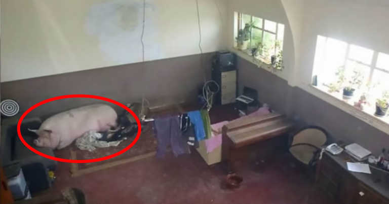 The Worst Photos Ever Taken By Real Estate Agents