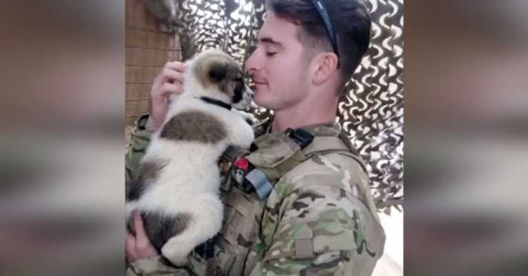 Tough Soldier Who Fell In Love With Stray Puppy In Iraq Melts During Emotional Reunion.