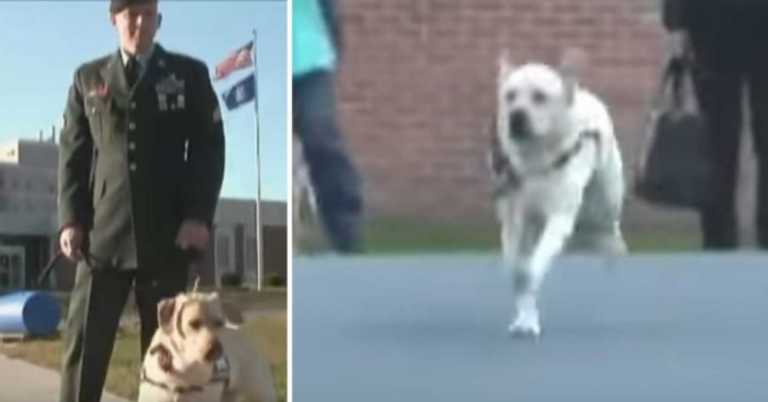 Man Visits Prison With Service Dog To Be Reunited With Original Owner