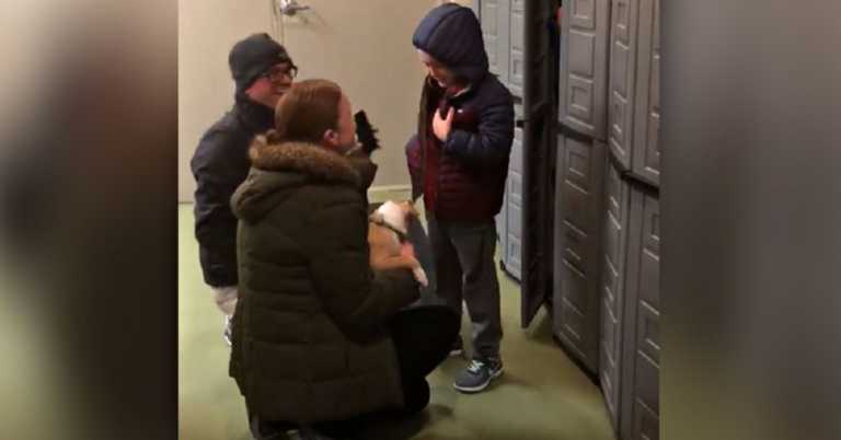 Grieving 6-Yr-Old Breaks Down When He Sees Tiny Puppy — Then Parents Say It’s His!