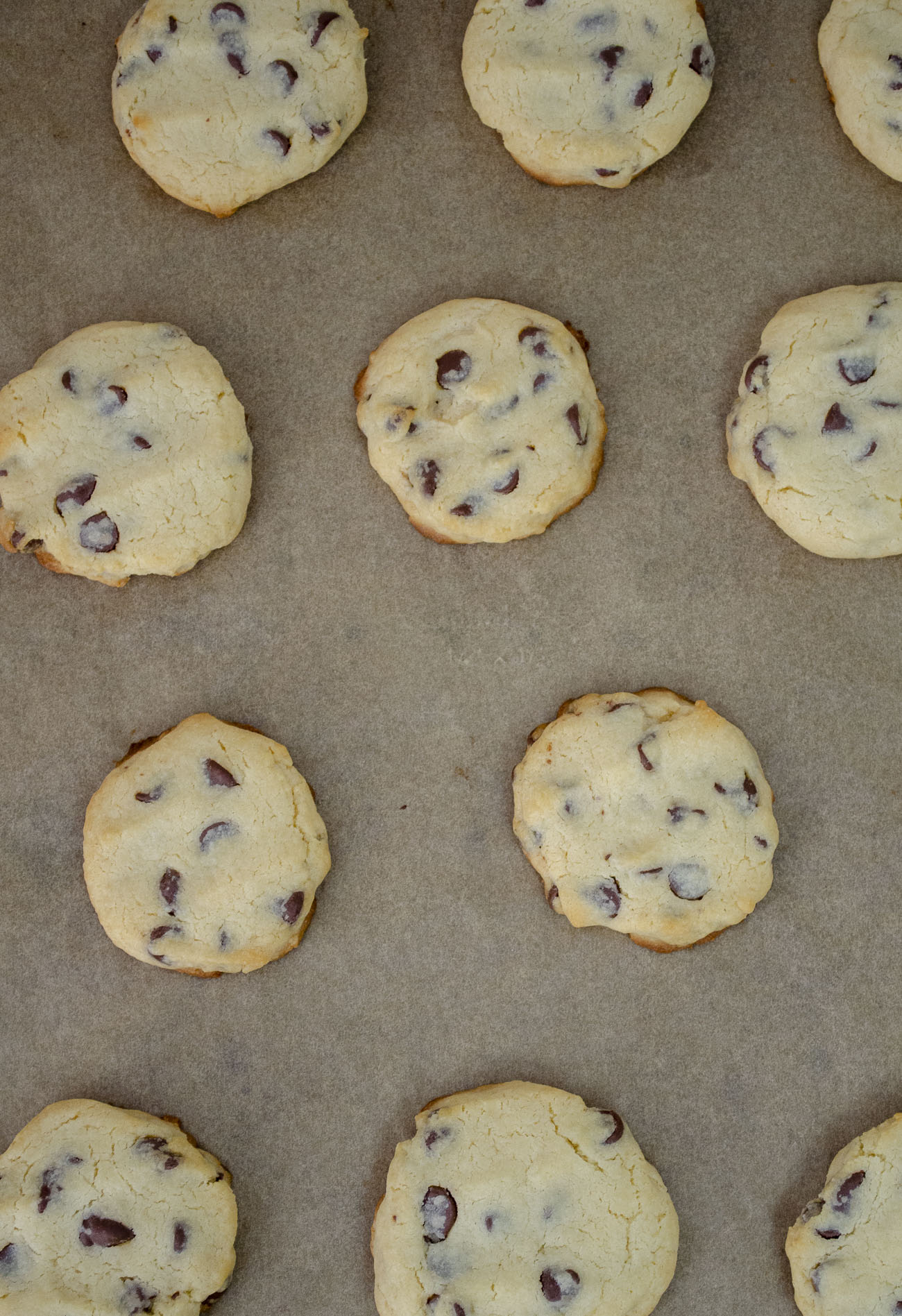 Condensed Milk Chocolate Chip Cookies-image