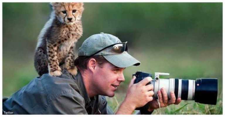 View Adorable Photos Of Animals Getting Up Close With Wildlife Photographers