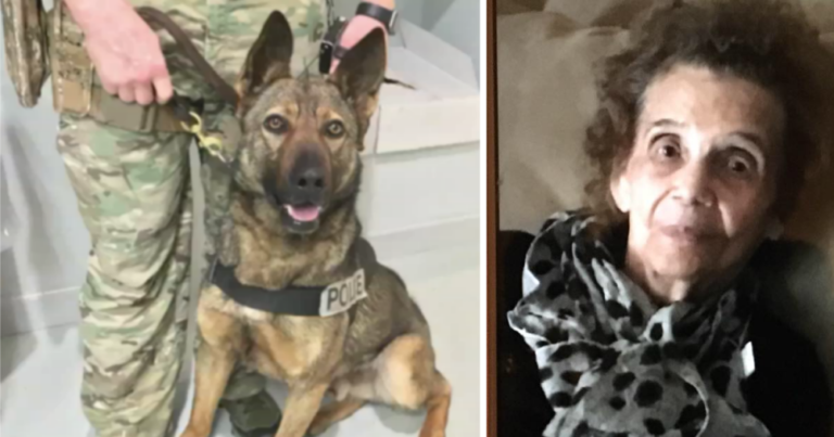 Dog Saves 90-Year-Old Woman With Dementia Who Got Lost In The Woods