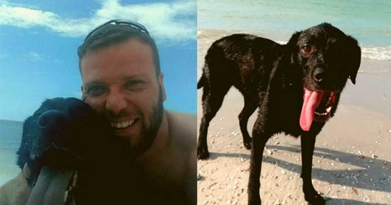 Man Warns Other Owners After Dog Dies From Saltwater Poisoning