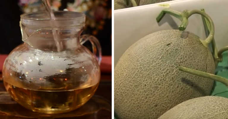 The Most Expensive Foods In The World!
