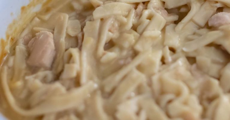 Creamy Slow Cooker Chicken Noodles