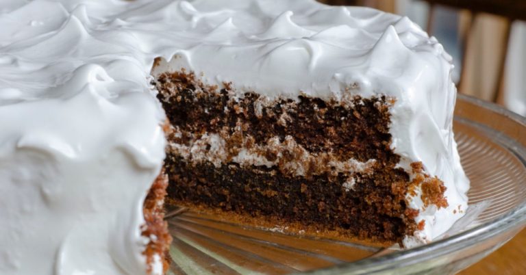 Recipe Tin Project: Vida Nelson’s Chocolate Cake
