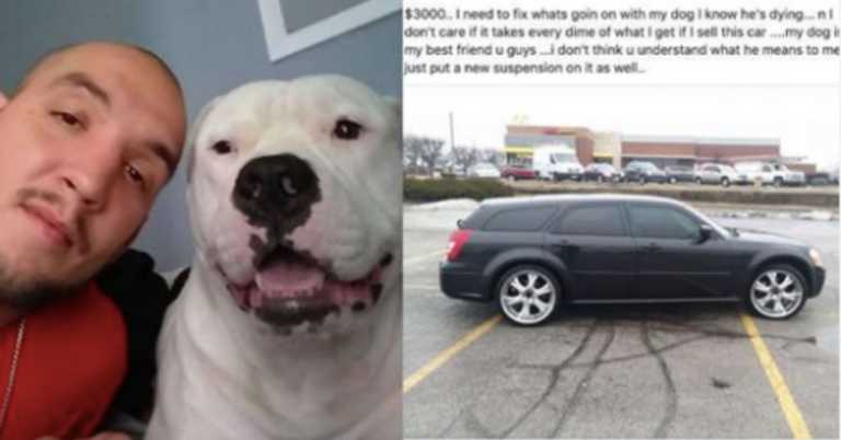 Man Immediately Puts His Car Up For Sale To Save His Sick Dog’s Life