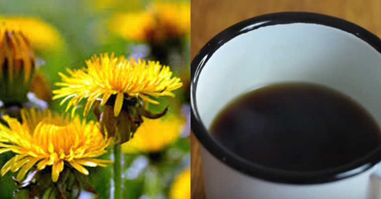 Civil War Recipe: Dandelion Coffee