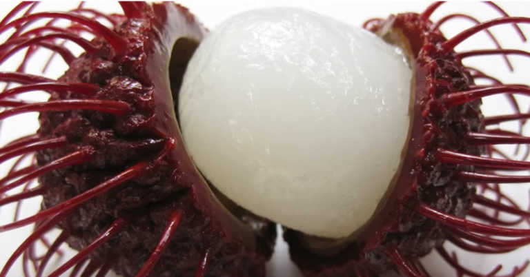 10 Fruits You’ve Never Heard Of