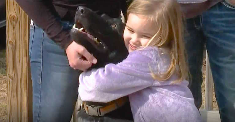 Man With Knife Tries Breaking Into Family’s Home But Doesn’t Account For Their German Shepherd
