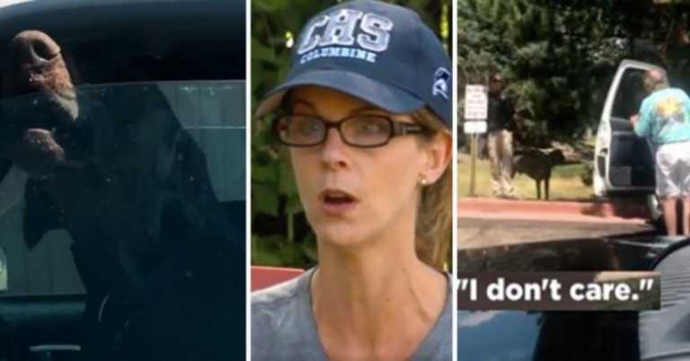 Dog Trapped In Hot Car Cries Out To Stranger For Help