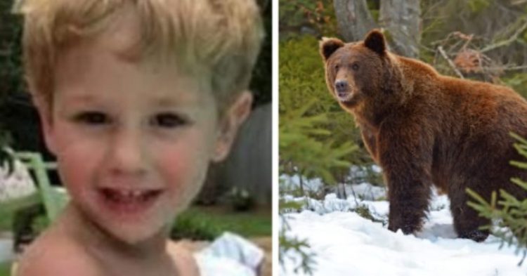 The 3-Year-Old Boy Who Survived 2 Freezing Nights Says That A Bear Helped Keep Him Warm