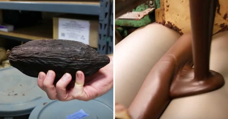 The Mesmerizing Process Of Making Chocolate