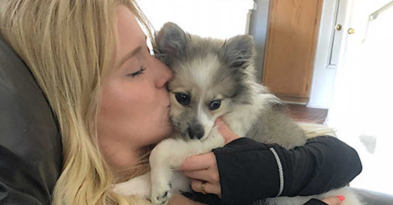 Woman Says ‘Spiteful’ Ex-Boyfriend Sold Her Puppy On Craigslist, Then Dumped Her