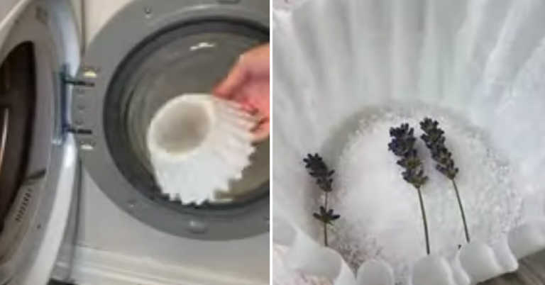 5 Creative Ways To Use Coffee Filters Around The House