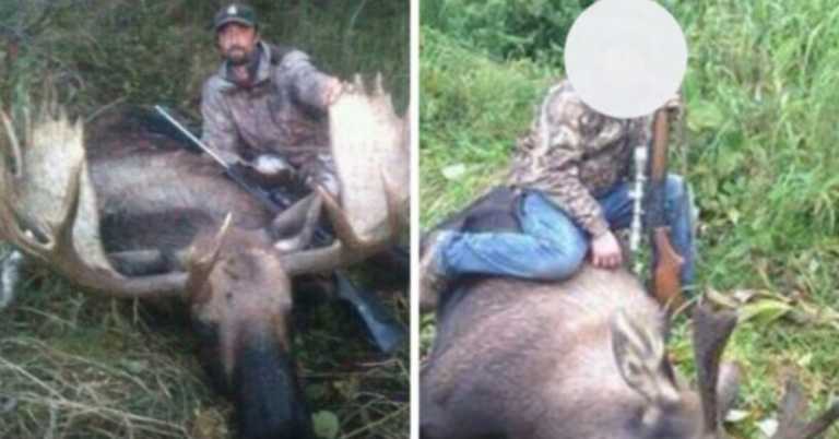 Dad And Son Hunters Who Killed Hibernating Bear And 2 Cubs Learn Their Fates