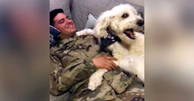 Deployed Soldier’s Dog Loses It When He Sees Him Again After Nine Months Apart