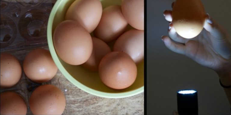 How To Tell If Eggs Are Bad: 5 Easy Ways To Check