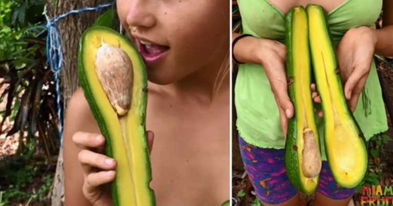Giant Long-Neck Avocados Can Make 12 Slices Of Avocado Toast And Cost Up To $15 Each