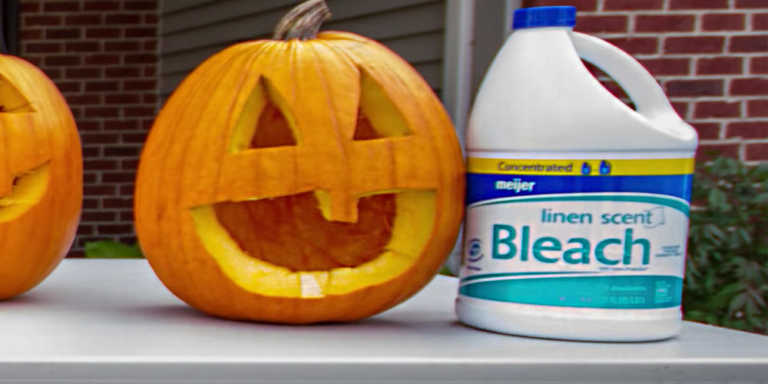 5 Effective Ways To Preserve Jack-O-Lanterns