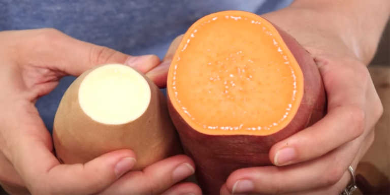 The Difference Between Yams And Sweet Potatoes