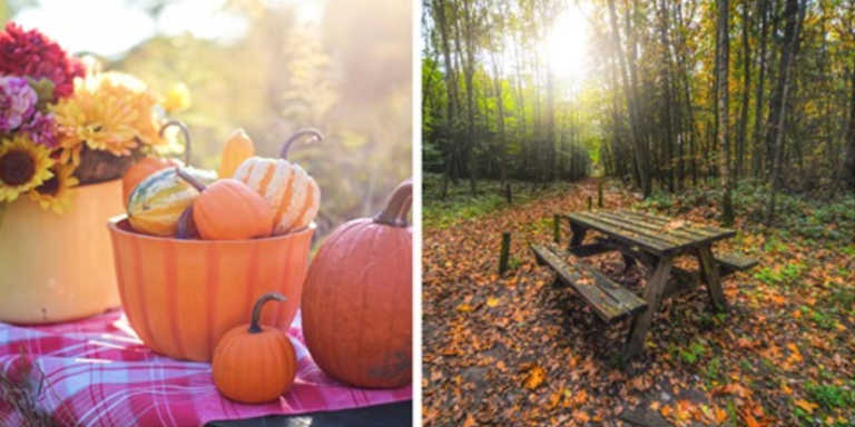 I Tried Planning An Autumn-Themed Family Picnic To Embrace The New Season