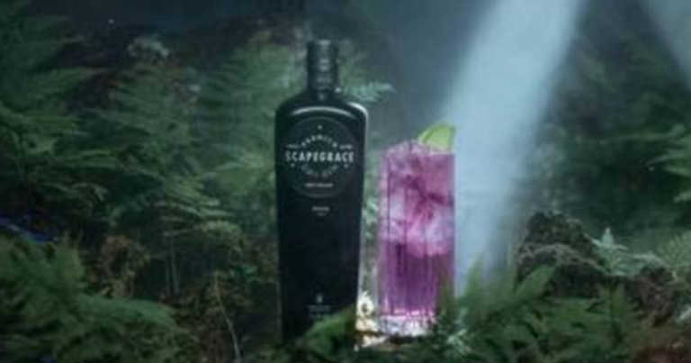 Distillery In New Zealand Creates World’s First Naturally Black Gin