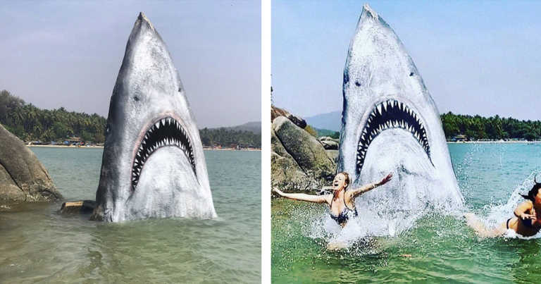 Graffiti Artist Jimmy Swift Turns Beach Stone Into A Great White Shark