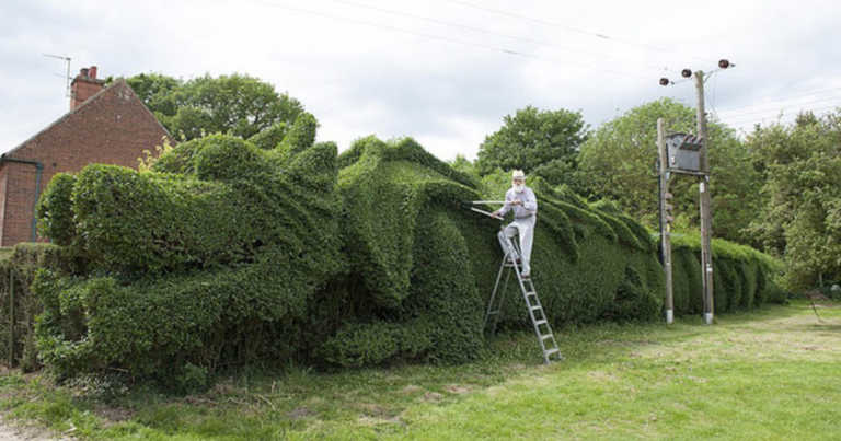 75-year-Old Man Spent 13 Years Turning His 150-Foot-Long Hedge Into A Dragon