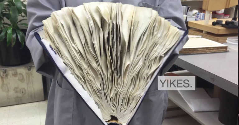 How To Salvage A Book Damaged By Water
