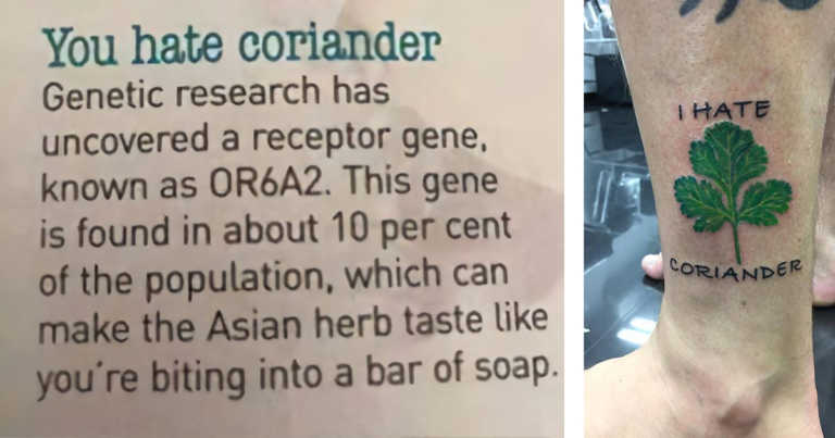 There’s A Facebook Group With Over 200,000 People Sharing Their Hate For Cilantro