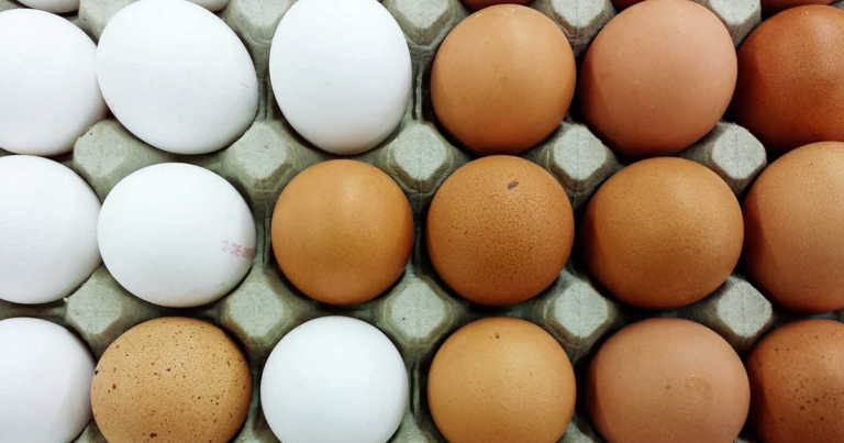 Why Are Brown Eggs More Expensive Than White Eggs?