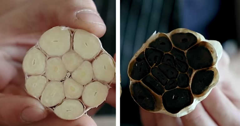 Why Everyone Should Use Black Garlic (And How To Make It)