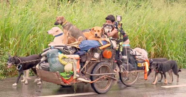 Meet Edgardo “Perros,” The Man Who’s Spent 6 Yrs Rescuing Dogs In Mexico.