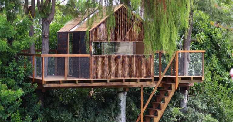 Grandpa Builds A Modern Treehouse So His Grandkids Can Play Without Glowing Screens