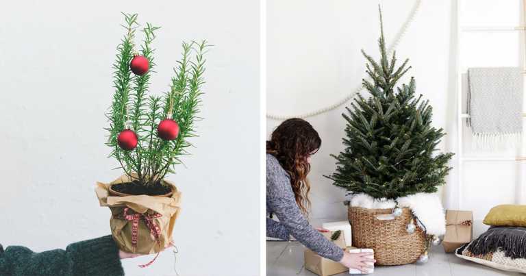 Tiny Christmas Trees Are Making A Comeback