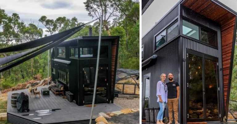 Ultra-Modern Tiny House Has A Giant Outdoor Cat Run
