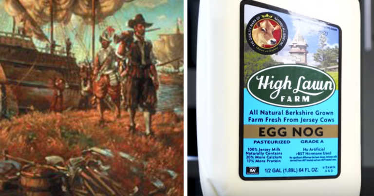 What Is Eggnog, And How Did It Become A Holiday Tradition?