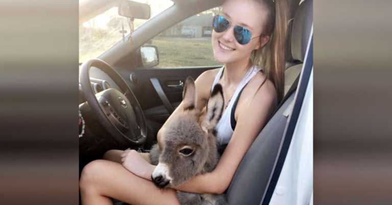 Teenage Girl Takes In Abandoned Baby Donkey And Nurses Him Back To Health.
