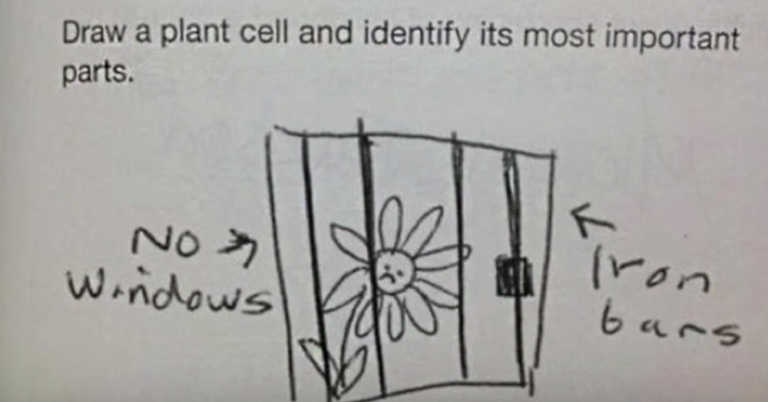 10 Most Hilarious Answers Kids Gave On Tests