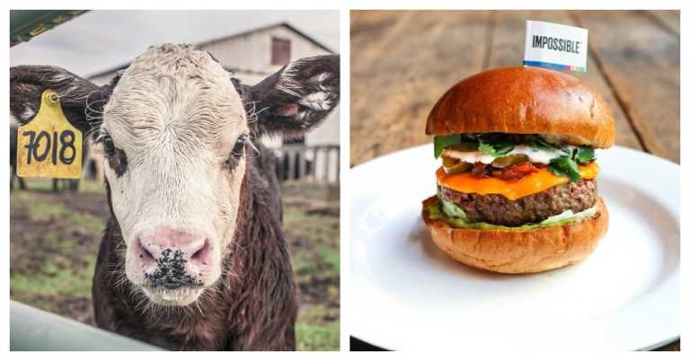 250,000 Animals Are Saved Each Year As Plant-Based Burgers Gain In Popularity