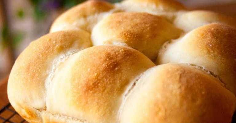 How To Make Homemade Dinner Rolls In A Crockpot