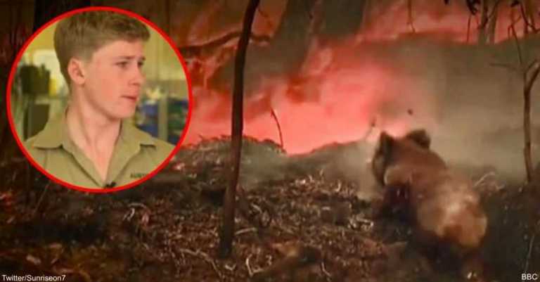 Robert Irwin Tears Up While Talking About The Injured Animals From The Australia Bushfires