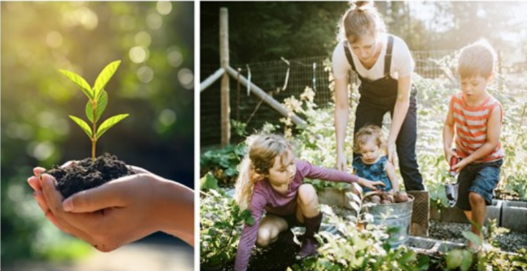 10 Wonderful Ways Gardening Benefits Kids
