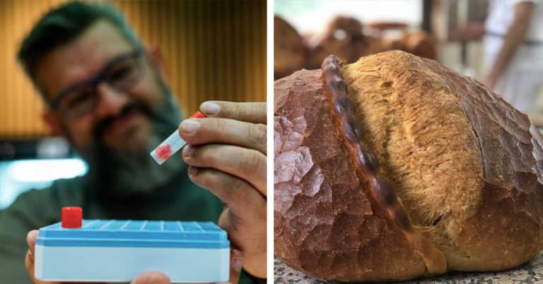 Belgium Is Home To The World’s Only Sourdough Library