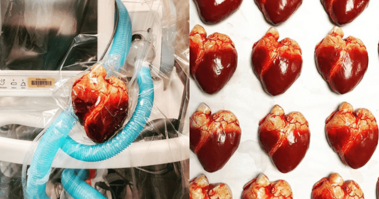 You Can Now Gift Realistic Heart Chocolates To Your Loved One On Valentine’s Day