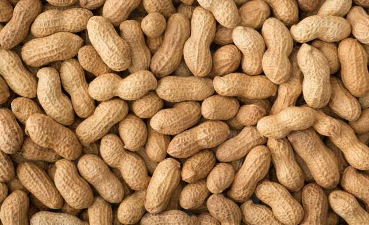 Interesting Facts About Peanuts