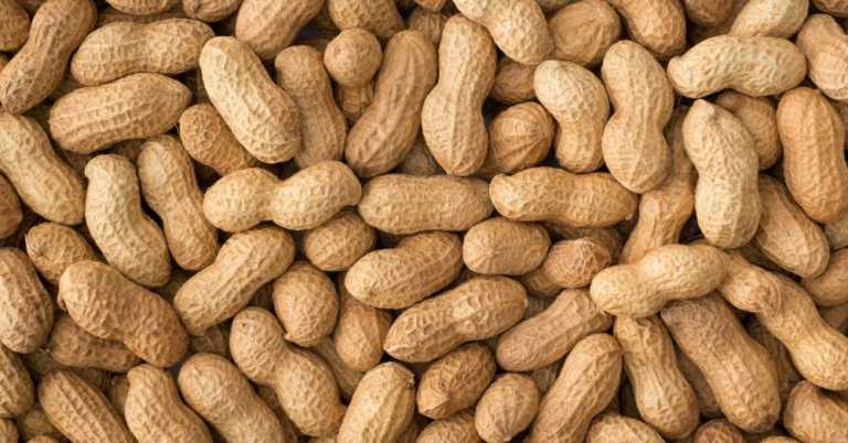 10 Fun Facts About Peanuts