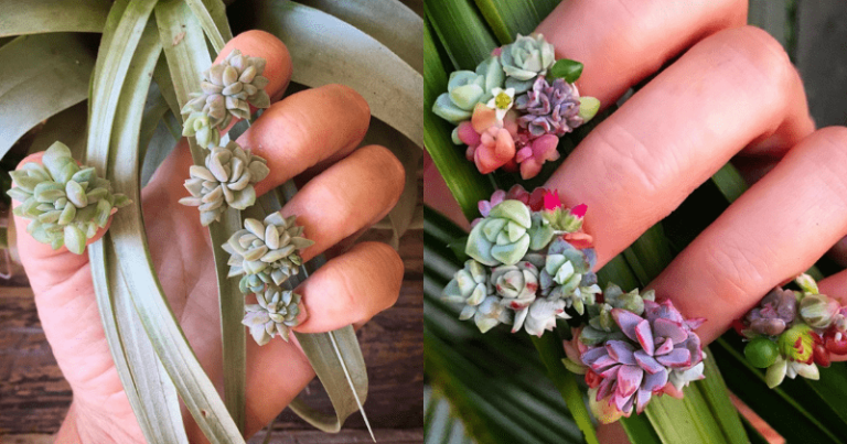New Trend Sees Woman Putting Succulent Gardens On Their Nails